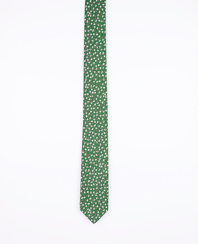 Cravatta Liberty Verde n°1 Uomo in Cotone | Gaspard - Unipap's
