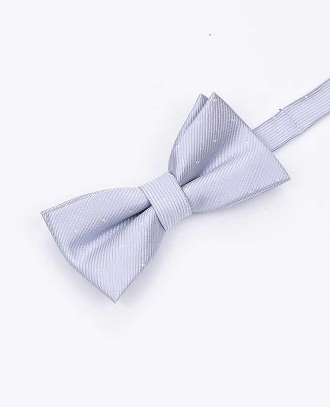 Papillon Grigio n°2 Bambini in Poliestere | Georges - Unipap's