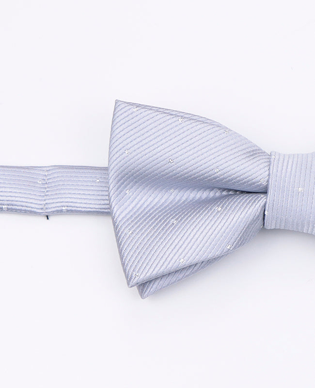 Papillon Grigio n°2 Bambini in Poliestere | Georges - Unipap's
