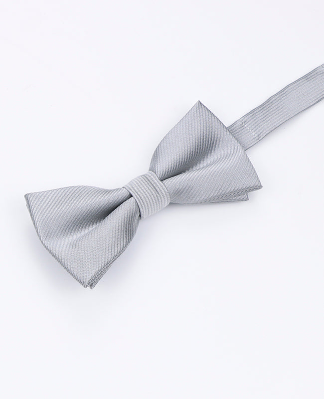 Papillon Grigio n°2 Bambini in Poliestere | Lucien - Unipap's