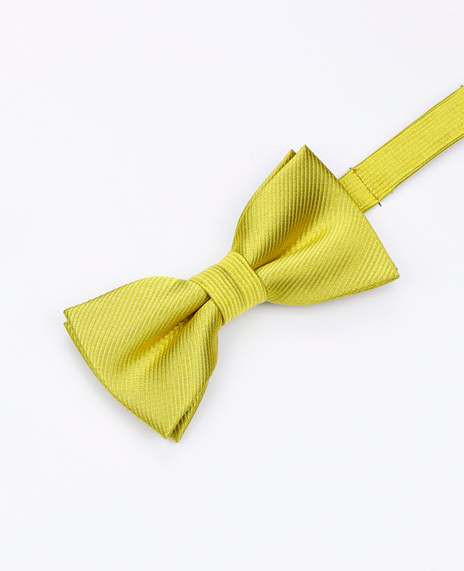 Papillon Giallo n°2 Bambini in Poliestere | Lucien - Unipap's