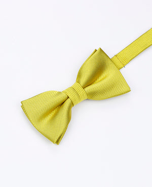 Papillon Giallo n°2 Bambini in Poliestere | Lucien - Unipap's