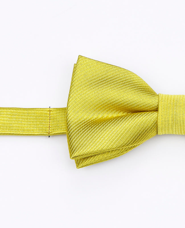 Papillon Giallo n°2 Bambini in Poliestere | Lucien - Unipap's