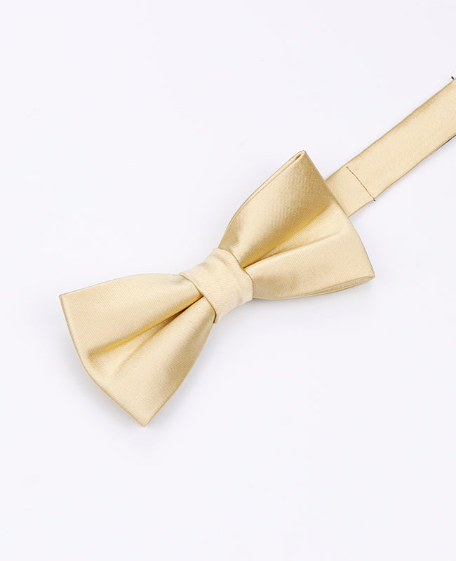 Papillon Oro n°2 Bambini in Poliestere | Jules - Unipap's