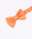 Papillon Arancione n°2 Bambini in Poliestere | Anatole - Unipap's