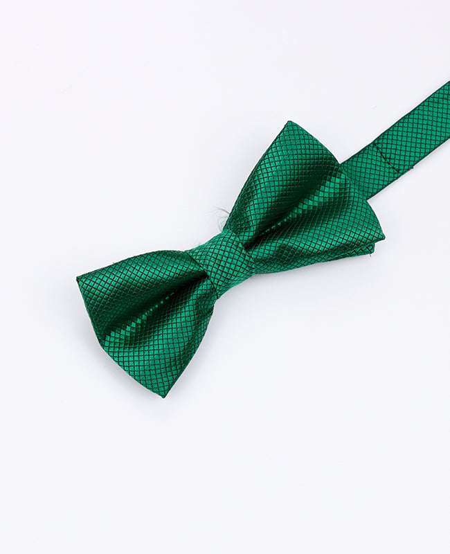 Papillon Verde n°1 Bambini in Poliestere | Martin - Unipap's