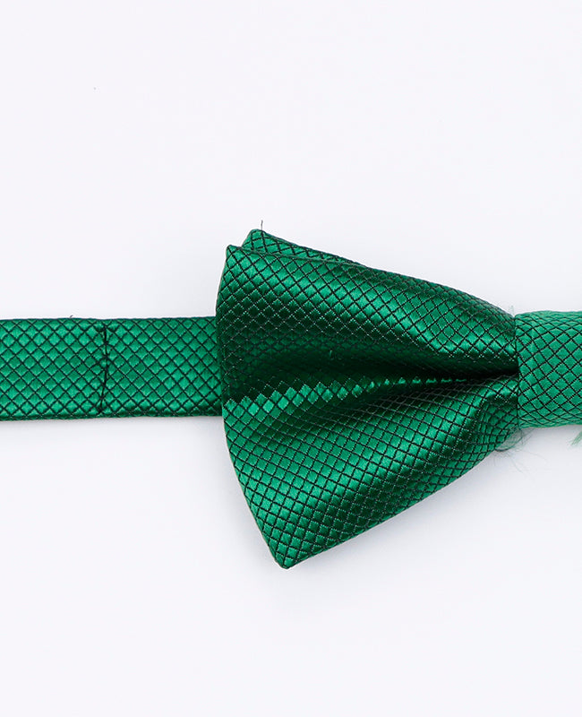 Papillon Verde n°1 Bambini in Poliestere | Martin - Unipap's