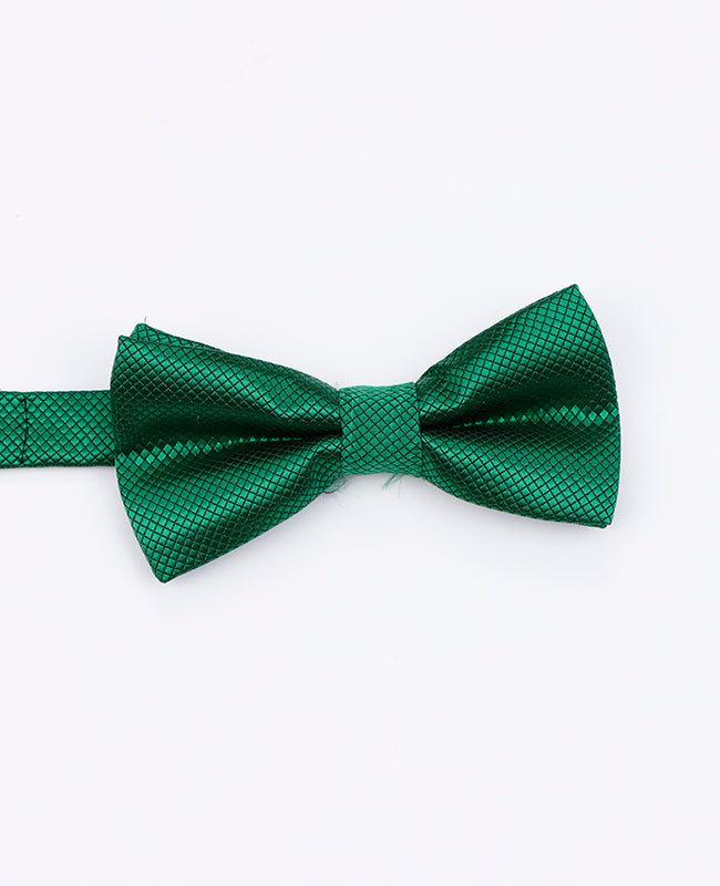 Papillon Verde n°1 Bambini in Poliestere | Martin - Unipap's