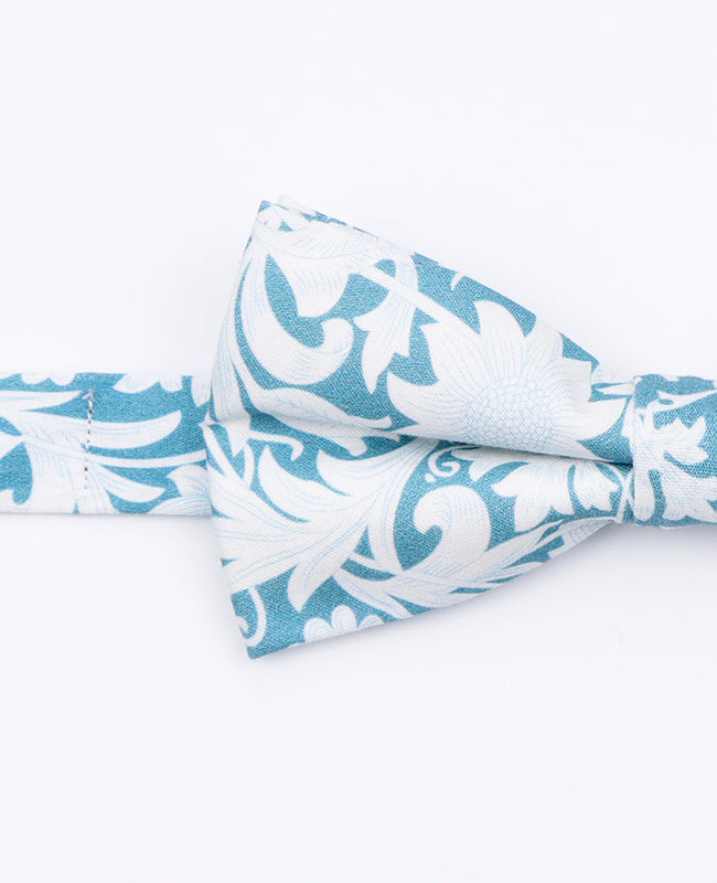 Papillon Liberty Blu n°9 Uomo in Cotone | Gaspard - Unipap's
