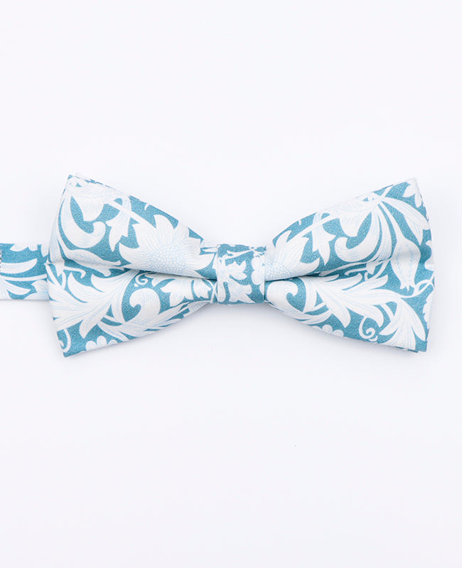 Papillon Liberty Blu n°9 Uomo in Cotone | Gaspard - Unipap's