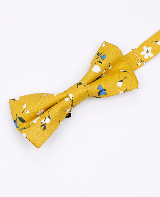 Papillon Liberty Giallo Uomo in Cotone | Gaspard - Unipap's