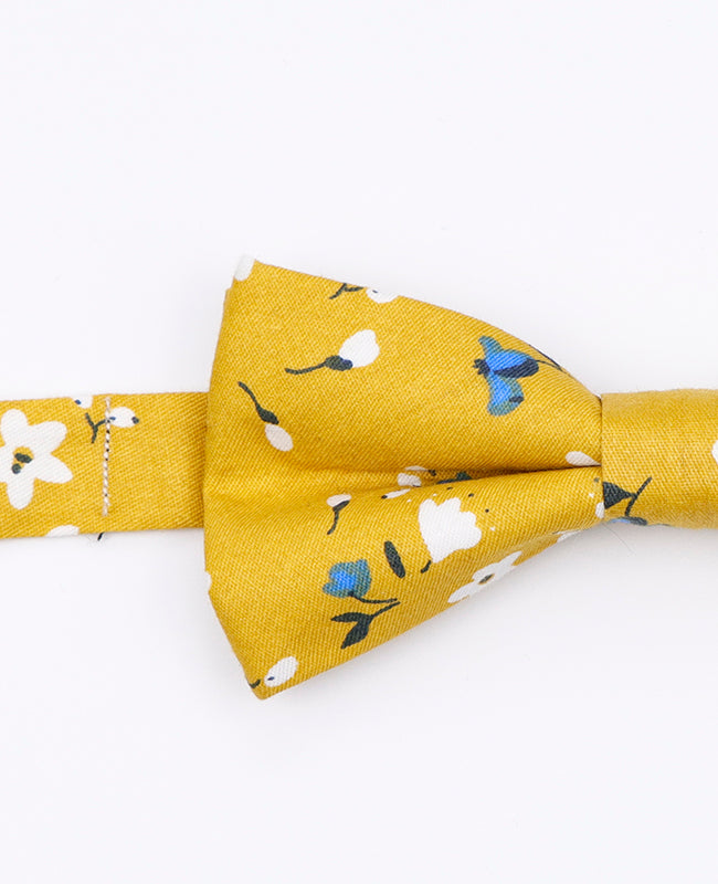 Papillon Liberty Giallo Uomo in Cotone | Gaspard - Unipap's