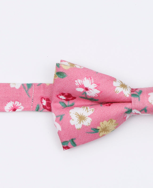 Papillon Liberty Rosa n°3 Uomo in Cotone | Gaspard - Unipap's