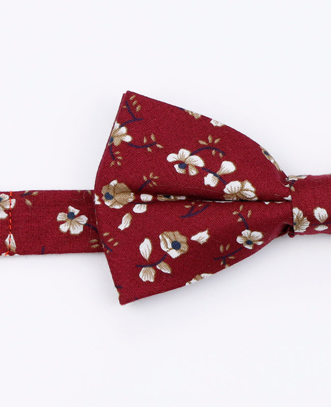 Papillon Liberty Rosso n°1 Uomo in Cotone | Gaspard - Unipap's