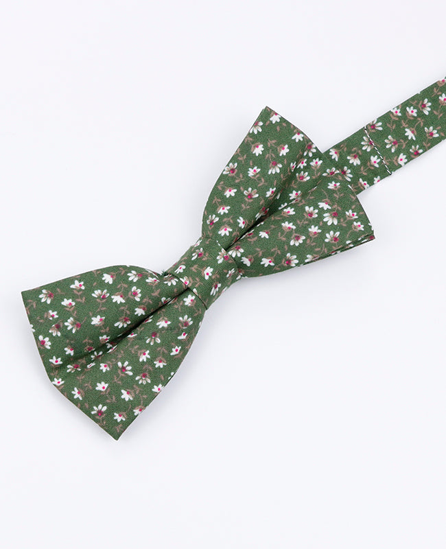 Papillon Liberty Verde n°1 Uomo in Cotone | Gaspard - Unipap's