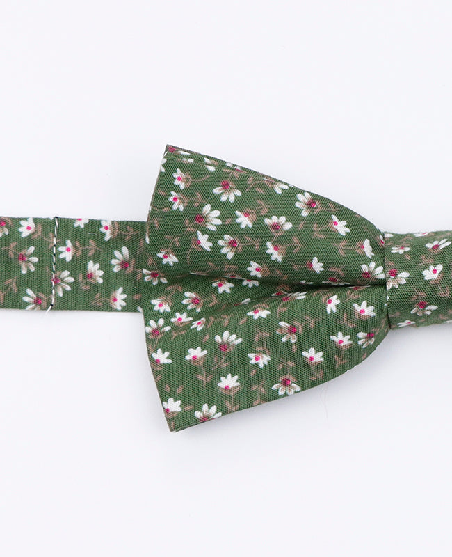 Papillon Liberty Verde n°1 Uomo in Cotone | Gaspard - Unipap's