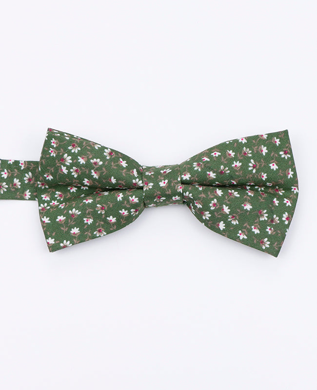Papillon Liberty Verde n°1 Uomo in Cotone | Gaspard - Unipap's