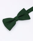 Papillon Verde n°2 Uomo in Lino | Basile - Unipap's