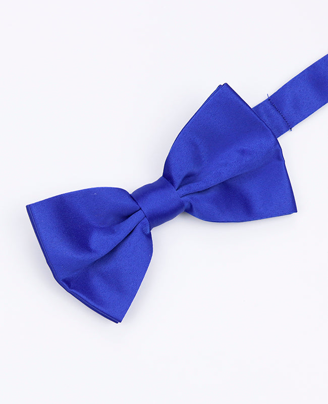 Papillon Blu n°2 Uomo in Poliestere | Anatole - Unipap's