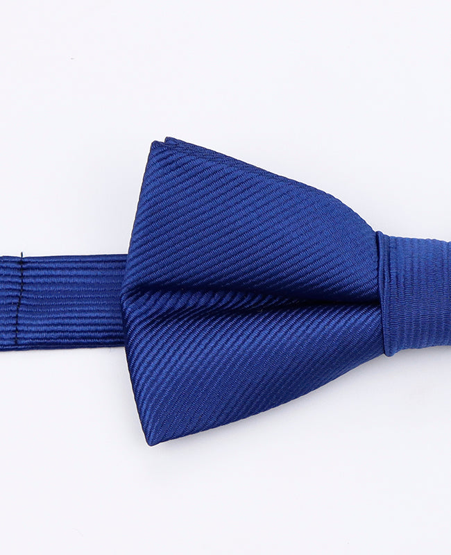 Papillon Blu n°2 Uomo in Poliestere | Lucien - Unipap's