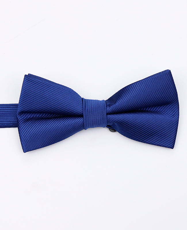 Papillon Blu n°2 Uomo in Poliestere | Lucien - Unipap's