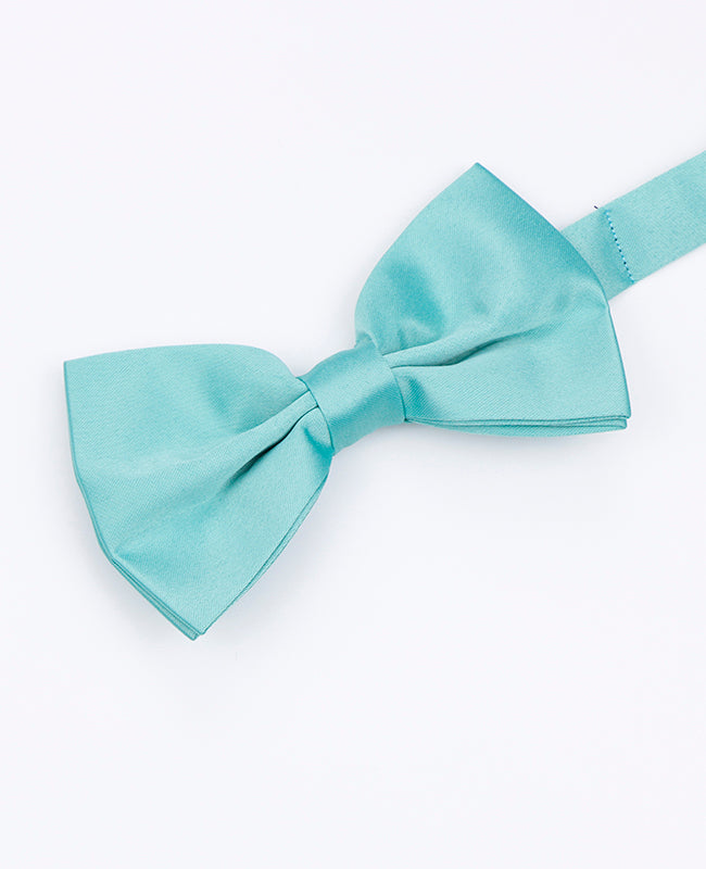 Papillon Blu n°4 Uomo in Poliestere | Anatole - Unipap's