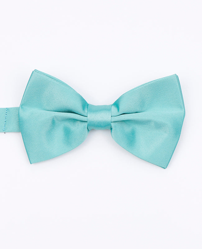 Papillon Blu n°4 Uomo in Poliestere | Anatole - Unipap's