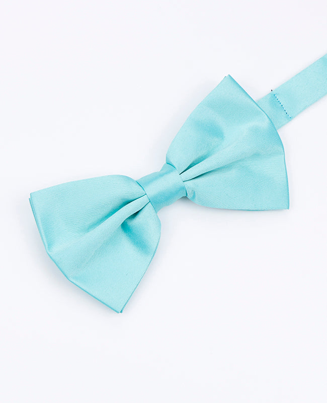 Papillon Blu n°5 Uomo in Poliestere | Anatole - Unipap's