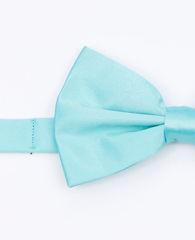 Papillon Blu n°5 Uomo in Poliestere | Anatole - Unipap's