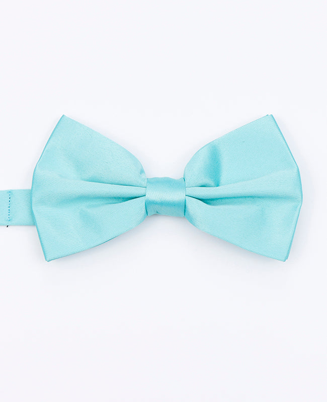Papillon Blu n°5 Uomo in Poliestere | Anatole - Unipap's