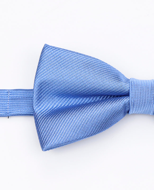 Papillon Blu n°5 Uomo in Poliestere | Lucien - Unipap's