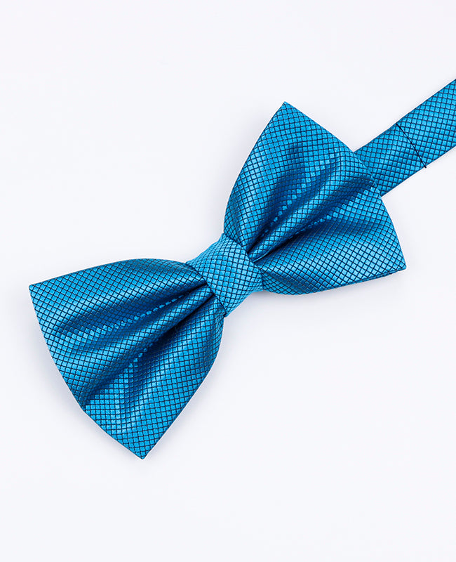Papillon Blu n°5 Uomo in Poliestere | Martin - Unipap's