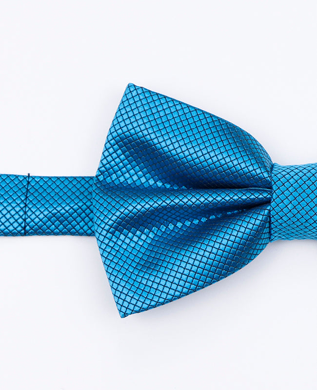 Papillon Blu n°5 Uomo in Poliestere | Martin - Unipap's