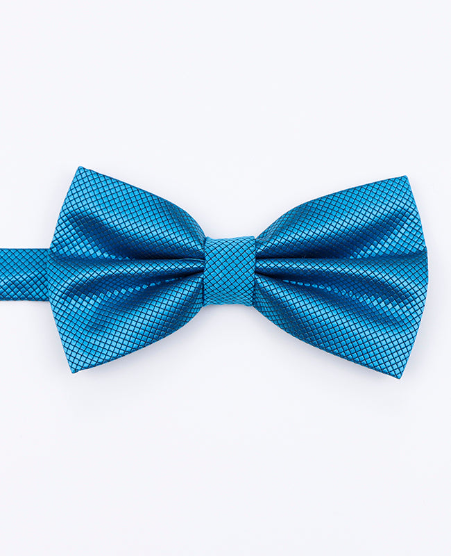 Papillon Blu n°5 Uomo in Poliestere | Martin - Unipap's