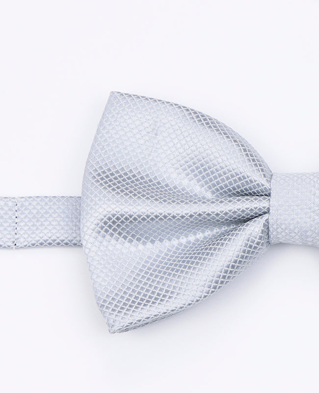 Papillon Grigio n°1 Uomo in Poliestere | Martin - Unipap's