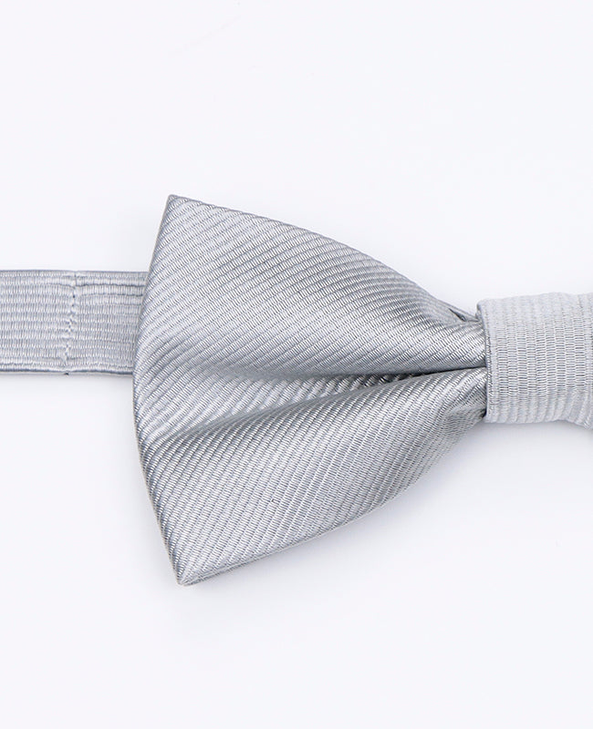 Papillon Grigio n°2 Uomo in Poliestere | Lucien - Unipap's