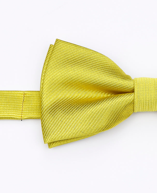 Papillon Giallo n°2 Uomo in Poliestere | Lucien - Unipap's