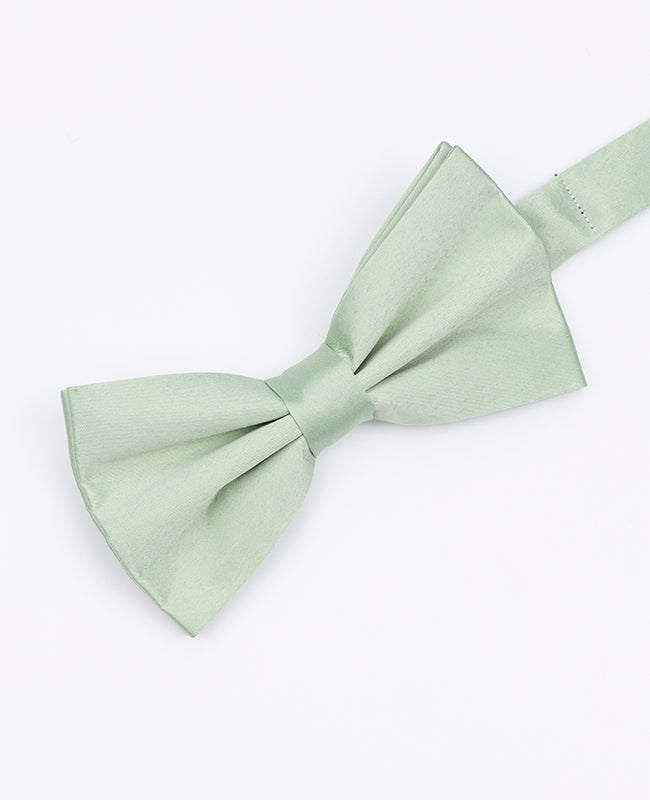 Papillon Verde n°1 Uomo in Poliestere | Anatole - Unipap's
