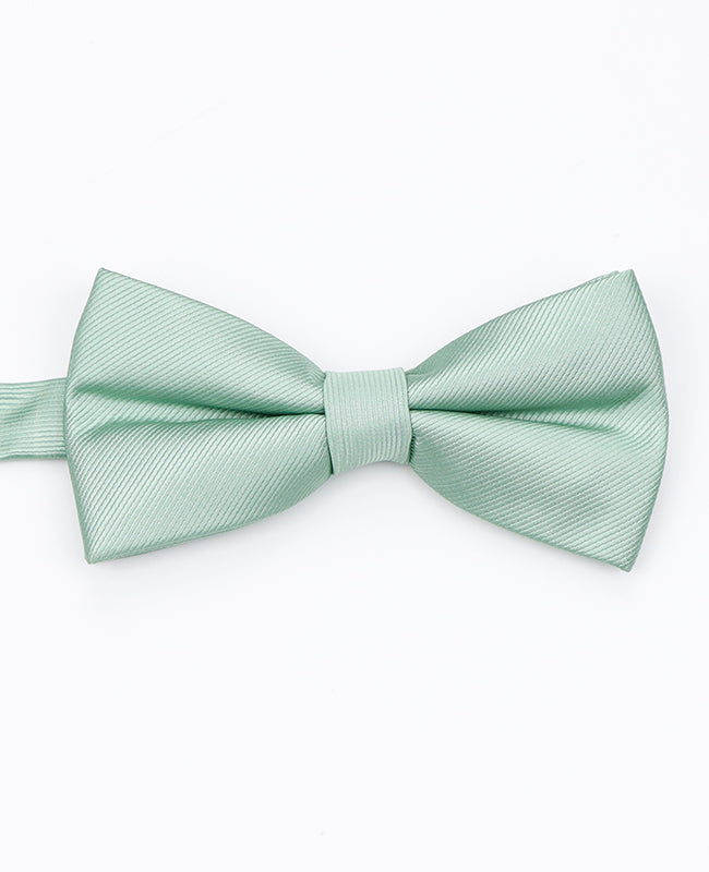 Papillon Verde n°1 Uomo in Poliestere | Lucien - Unipap's