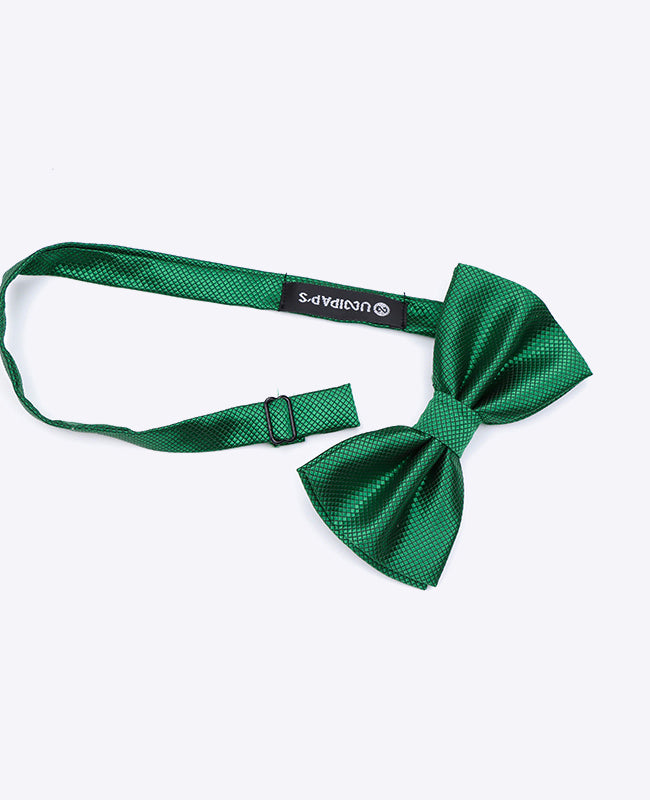 Papillon Verde n°1 Uomo in Poliestere | Martin - Unipap's