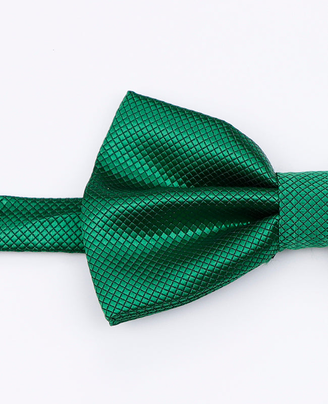 Papillon Verde n°1 Uomo in Poliestere | Martin - Unipap's