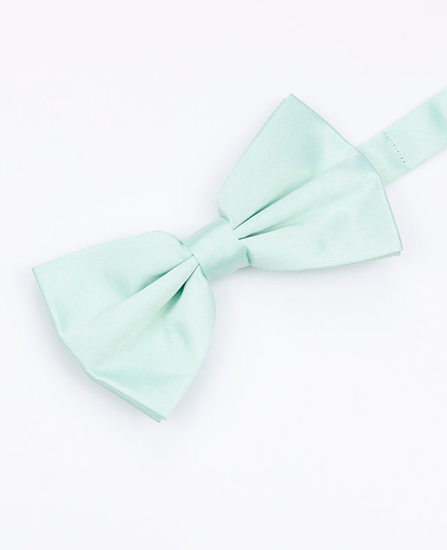 Papillon Verde n°2 Uomo in Poliestere | Anatole - Unipap's