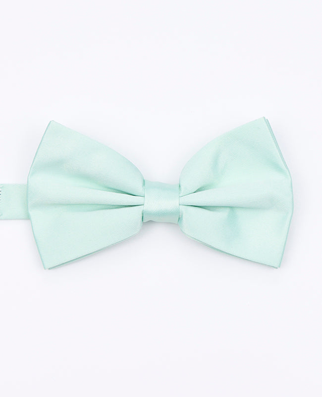 Papillon Verde n°2 Uomo in Poliestere | Anatole - Unipap's