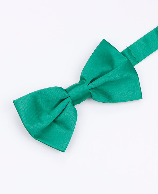 Papillon Verde n°3 Uomo in Poliestere | Anatole - Unipap's