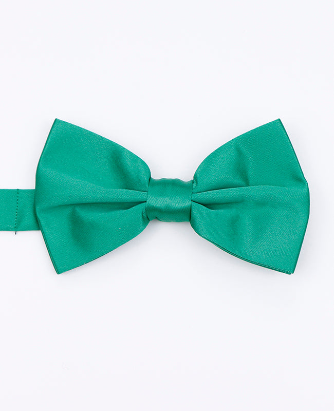 Papillon Verde n°3 Uomo in Poliestere | Anatole - Unipap's