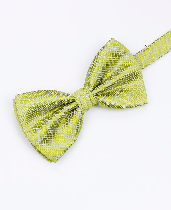 Papillon Verde n°3 Uomo in Poliestere | Martin - Unipap's