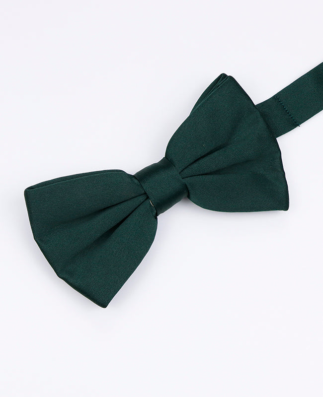 Papillon Verde n°4 Uomo in Poliestere | Anatole - Unipap's