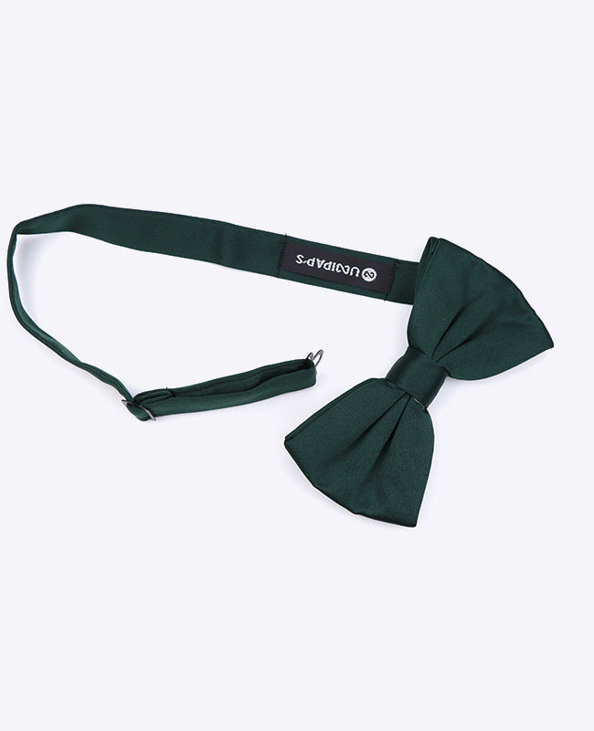 Papillon Verde n°4 Uomo in Poliestere | Anatole - Unipap's