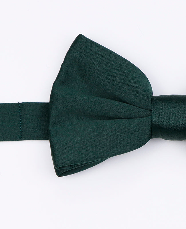 Papillon Verde n°4 Uomo in Poliestere | Anatole - Unipap's