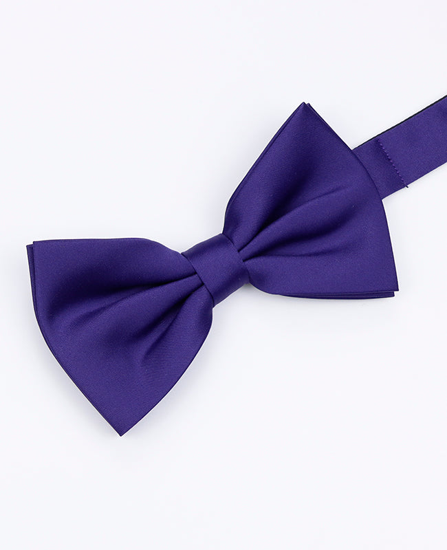 Papillon Viola n°1 Uomo in Poliestere | Anatole - Unipap's